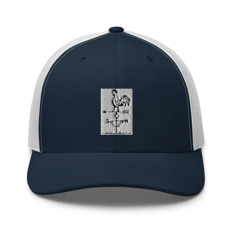 LTWS Weathervane ballcap blue